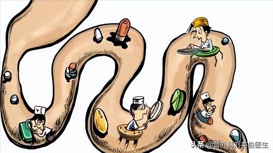 吃动物血排黑色大便是怎么回事,吃了动物血大便变黑是肺在排毒吗