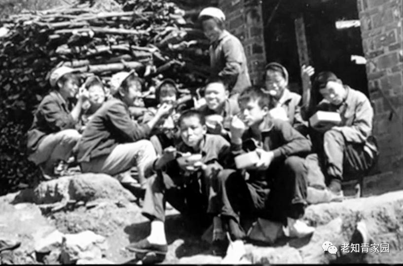 陈凯歌老照片大全集,陈凯歌的知青岁月