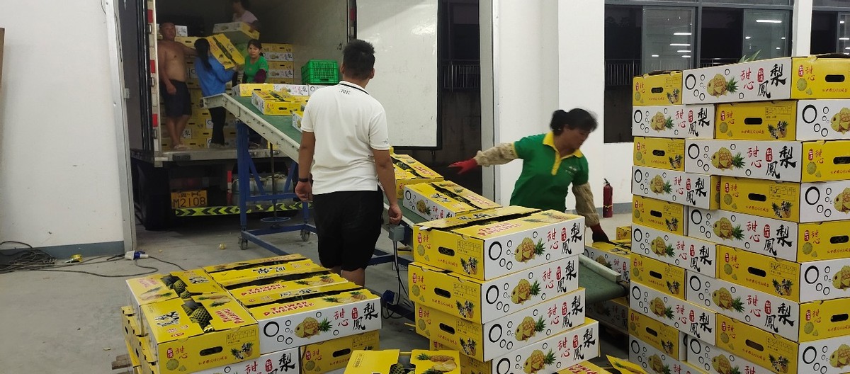 打造农村电商特色产业,乡村特色产业电商发展方向