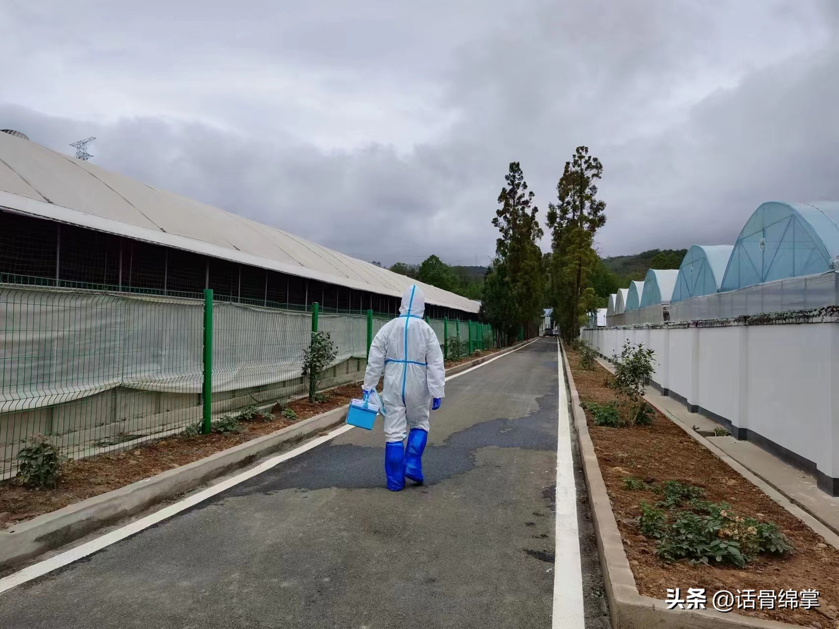 姹熸补骞虫鑱斿姩鍙戝睍,缁甸槼姹熸补鍗忓悓鍙戝睍