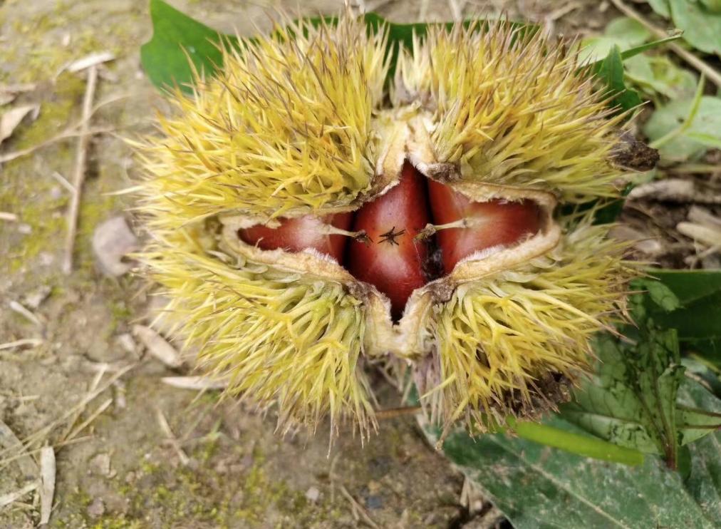 瀛╁瓙鍠婂眮灞佺柤鎬庝箞鍥炰簨,瀛╁瓙鎬诲枈灞佸眮鐤间竴鍧愪笅灏辩柤