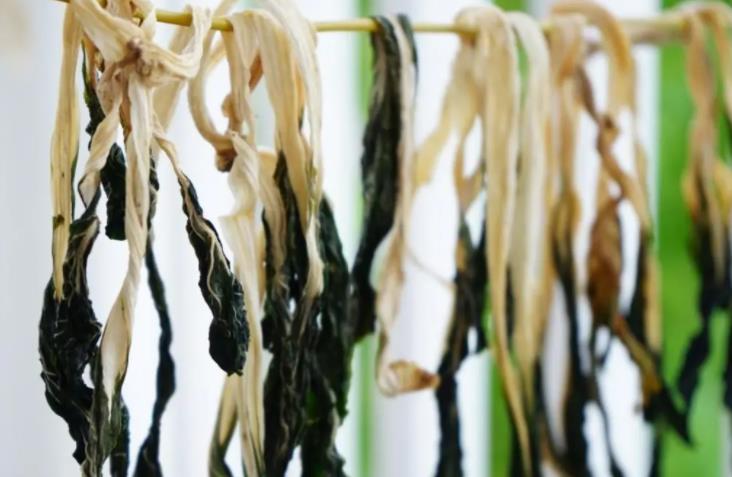 晒菜干遇天气不好怎么处理,晒菜脯讲究