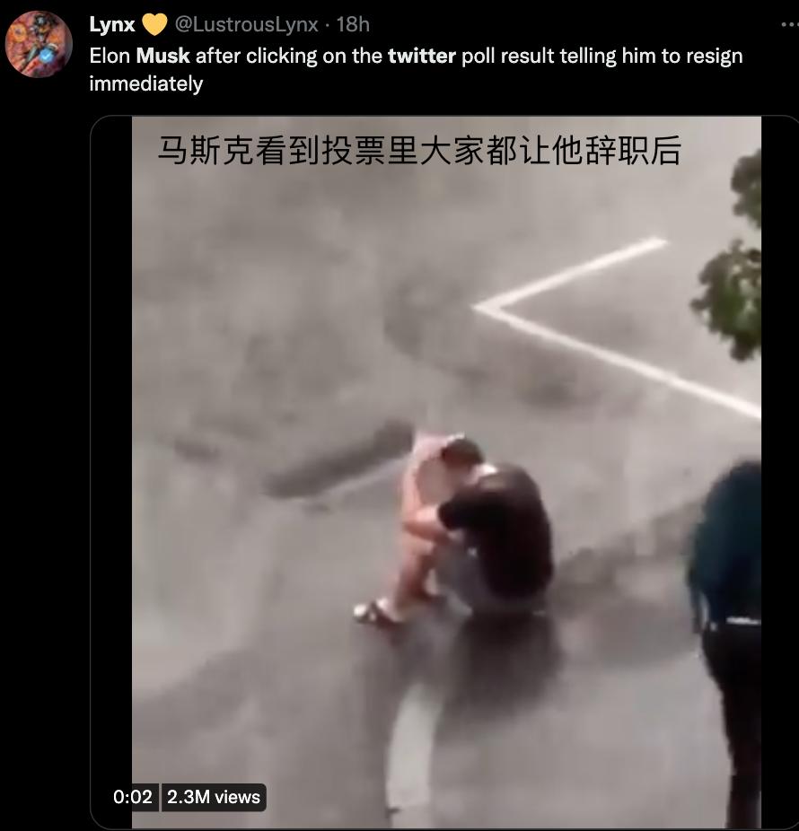 马斯克推特爆料选举丑闻,马斯克和伊万卡关系