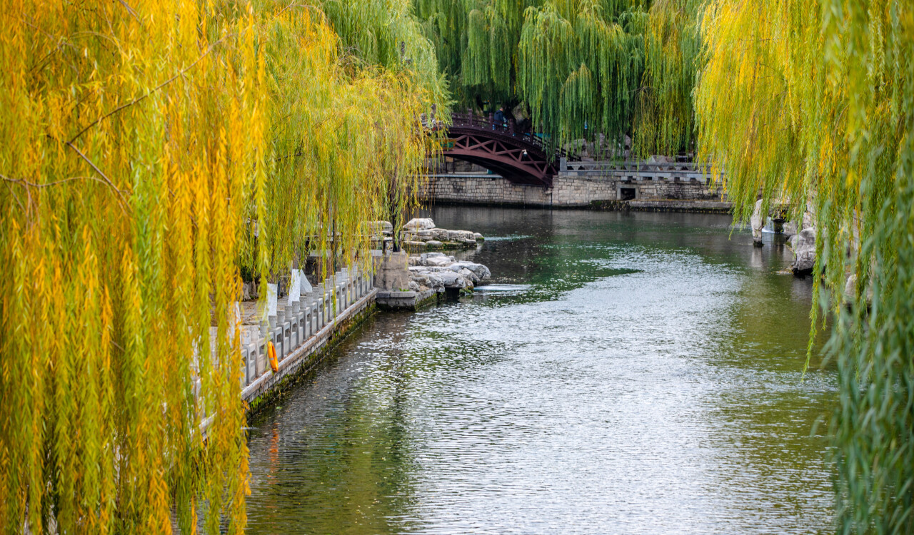 大明湖超级沉浸式,沉浸式体验趵突泉