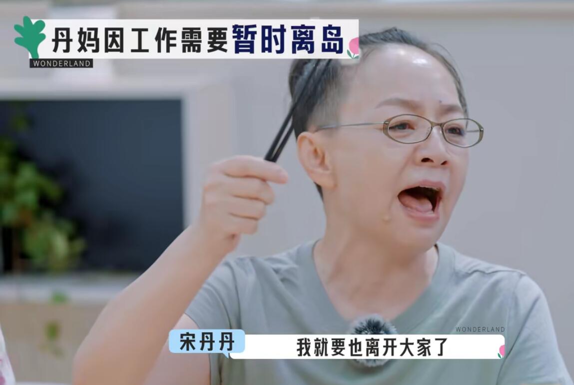 宋丹丹离开后才发现《桃花坞》的嘉宾有多假，包括反内卷的李雪琴