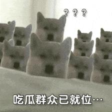 吃瓜群众表情包组成教程,一只安静的吃瓜群众表情包