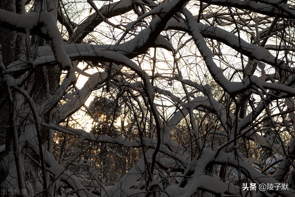 关中匪事26集,关中往事剧情介绍