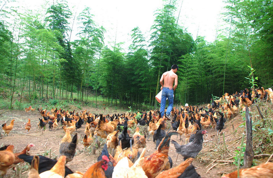 7年前非洲女大学生远嫁山西农村，生下混血女儿，如今生活怎么样