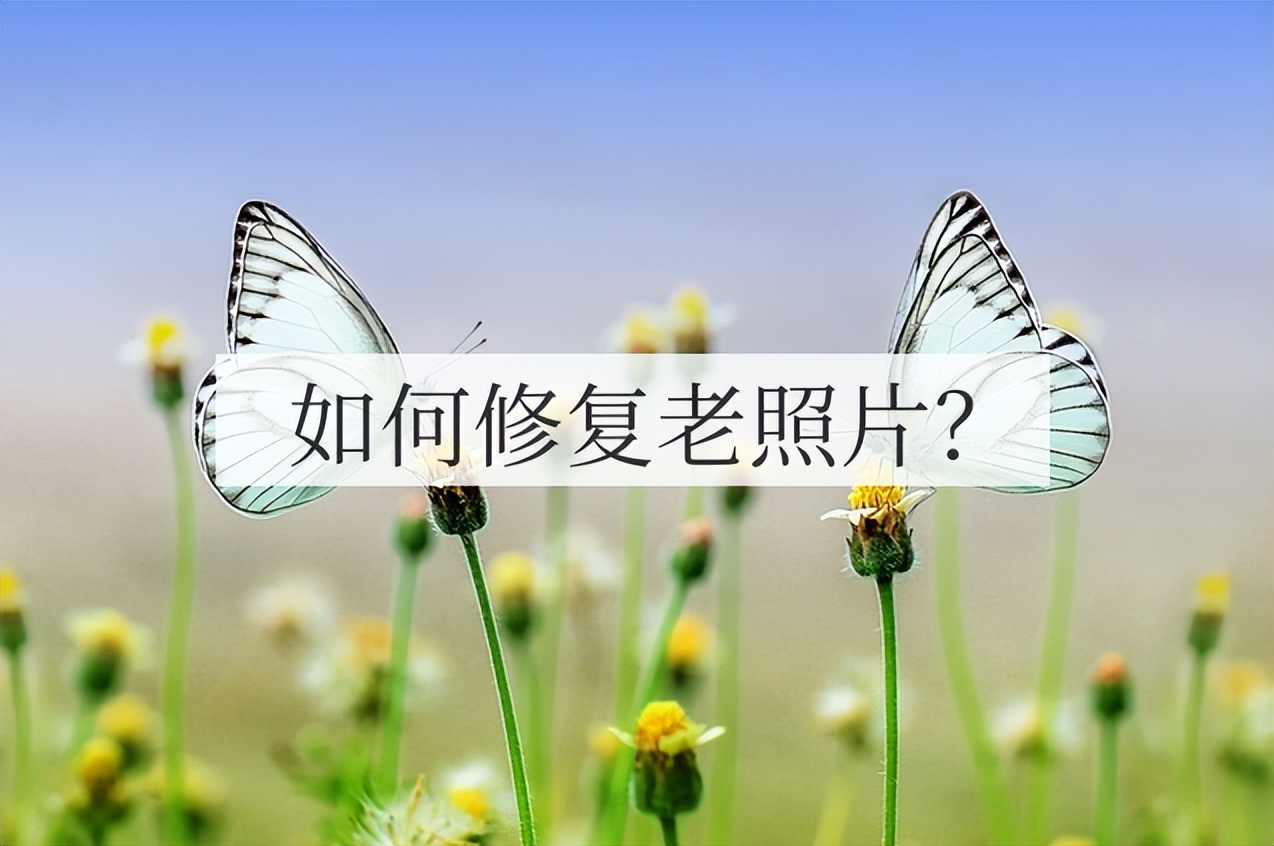 怎么修复老照片清晰,手机里的老照片怎么修复清晰