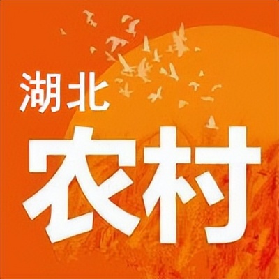 以微生物技术推进化肥减量,农业农药化肥减量化工作开展情况