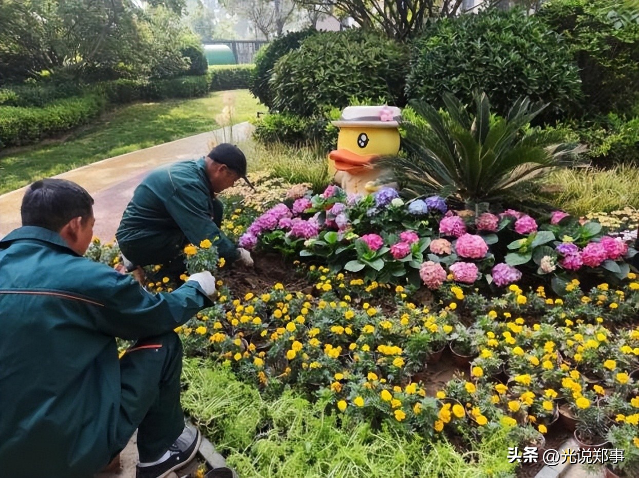 万科物业焕新行动,万科物业参与城市更新服务