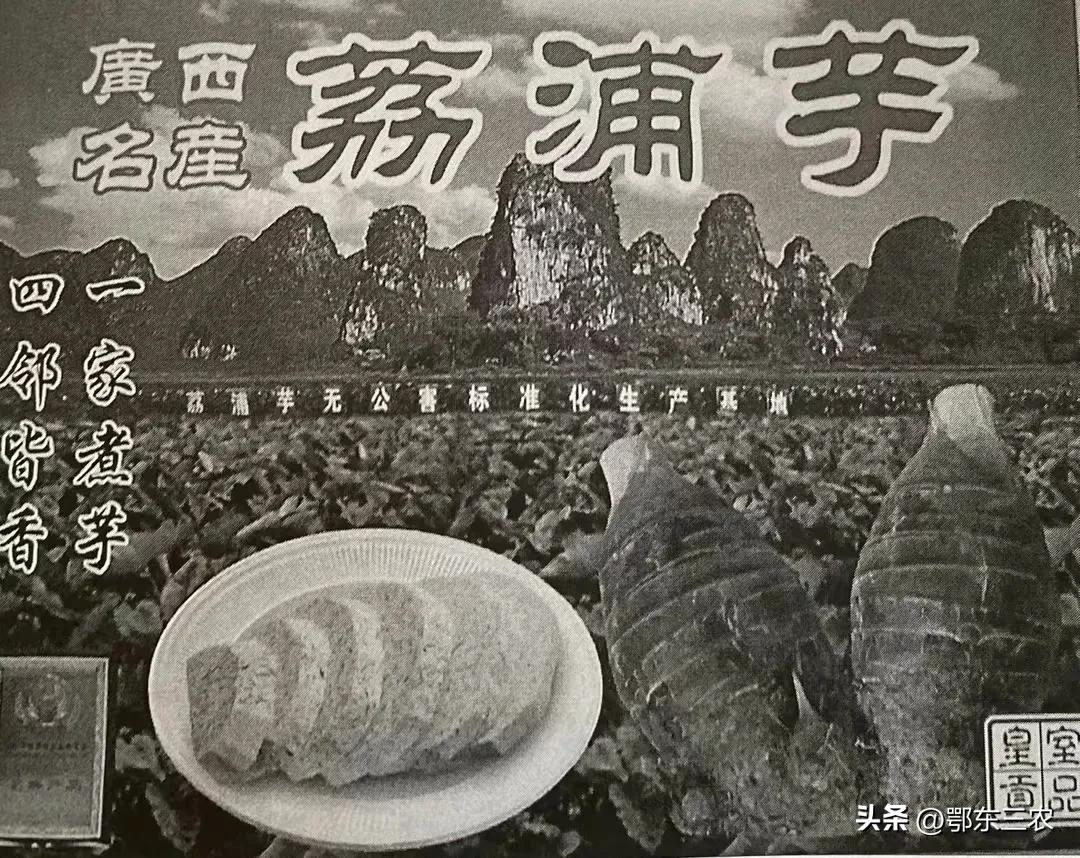 广西农村女子开网店销售荔浦芋,被告上法庭,赔偿经济损失40万元