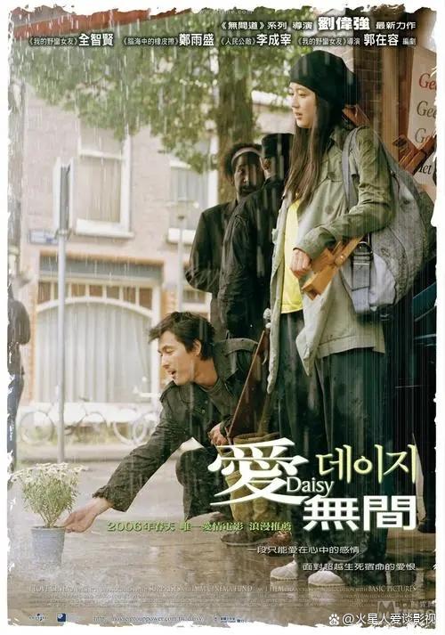 全智贤电影雏菊,全智贤雏菊爱情故事