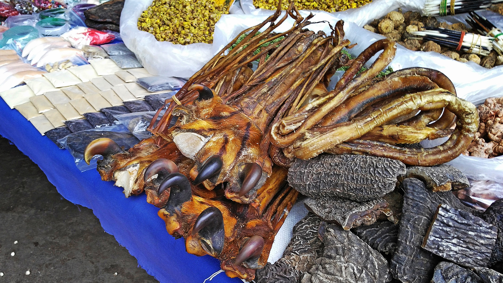 初哥视频,初哥延边烧烤