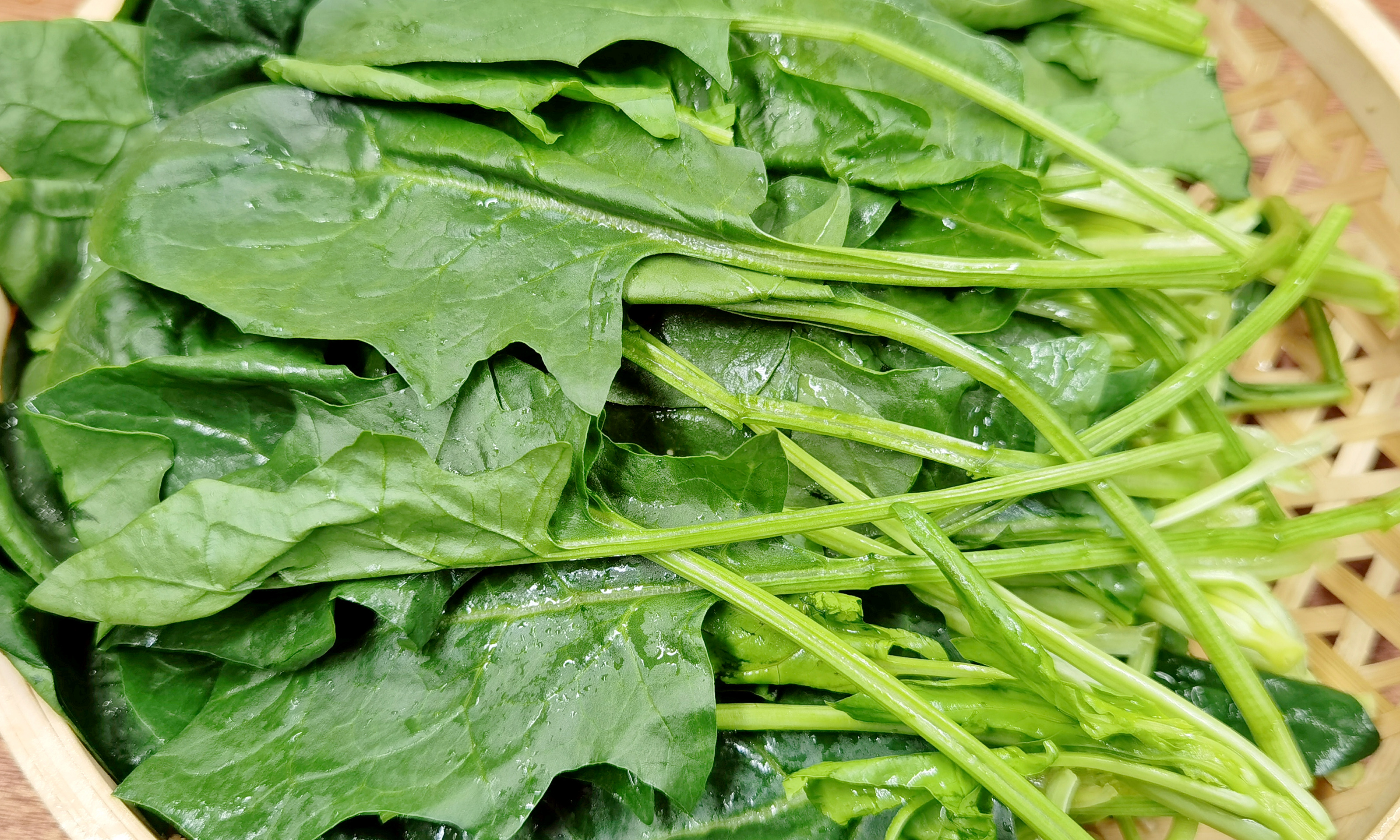 建议中老年人多吃高叶酸食物,补充叶酸需要吃什么绿叶蔬菜