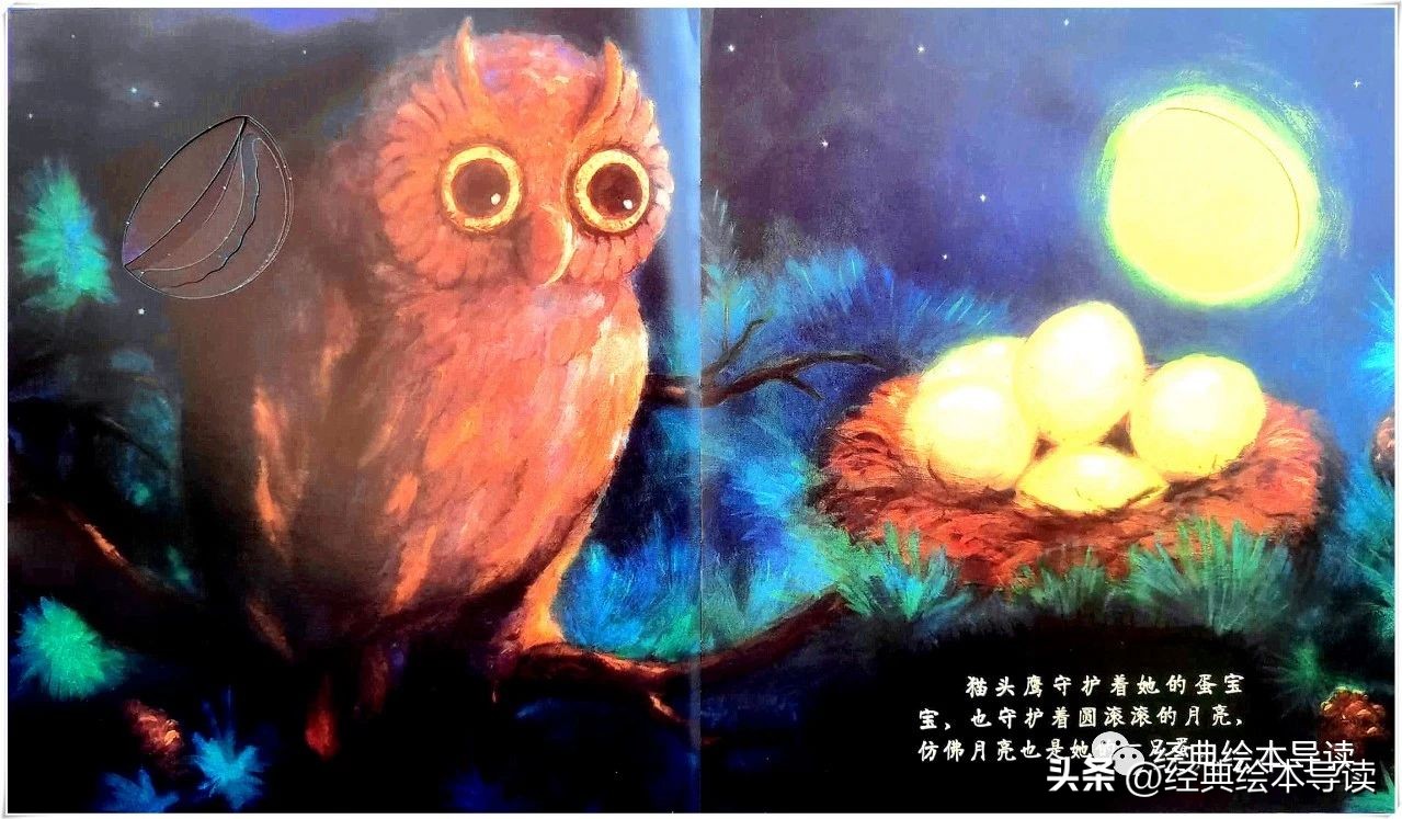 适合夜晚读的晚安书,晚安月亮绘本精读