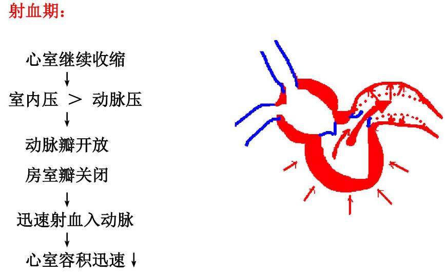 “妻子机器人”售价10万，除了生孩子什么都能做？别被骗了哦