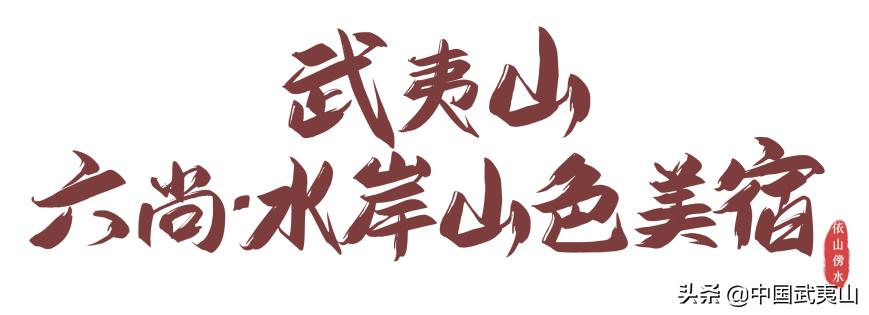 武夷山反响,武夷山茶香美宿