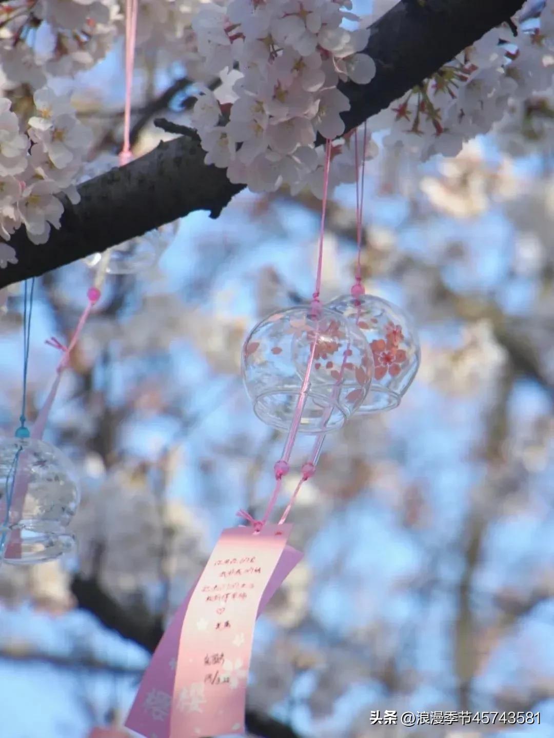 春暖花开日光倾城散文,春暖花开的季节散文