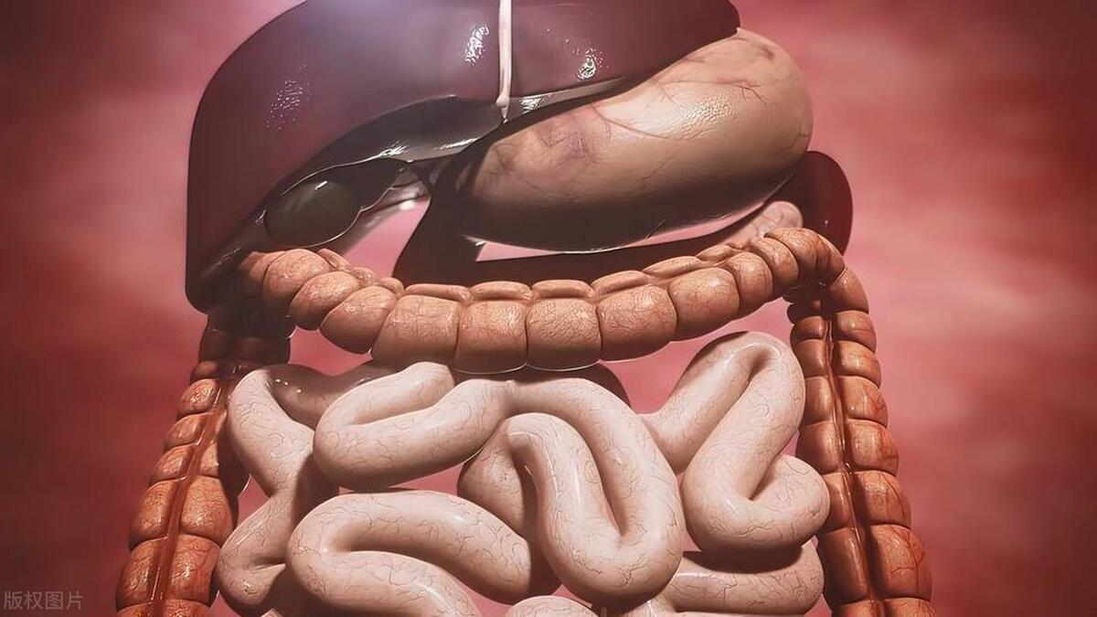 肚子胀气消瘦是什么原因,腹部胀气消瘦一般是什么大病