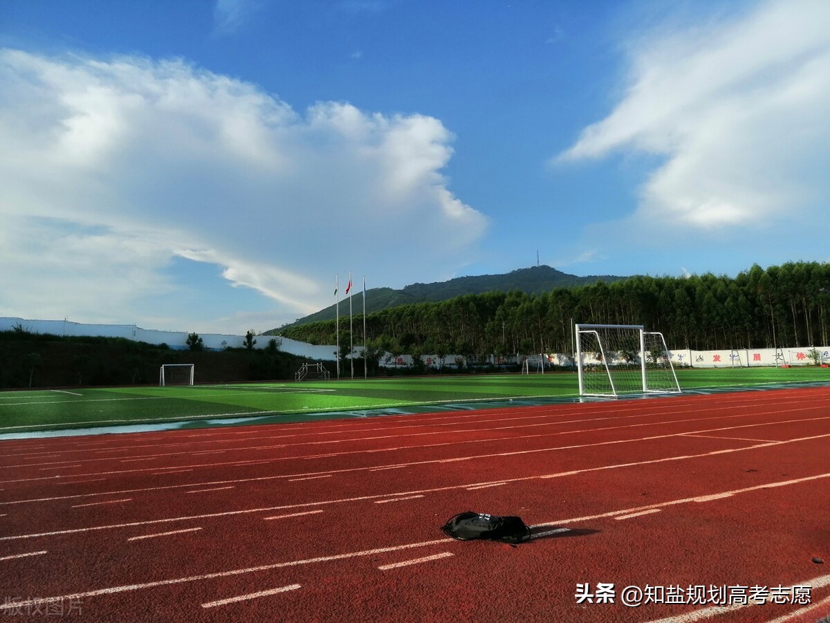 特殊类型招生——你是否了解体育单招