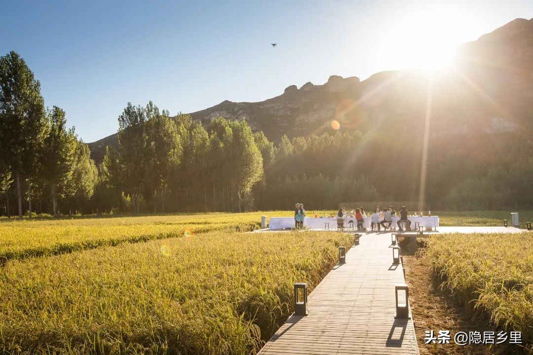 浪漫婚礼风民宿,很火的民宿婚礼
