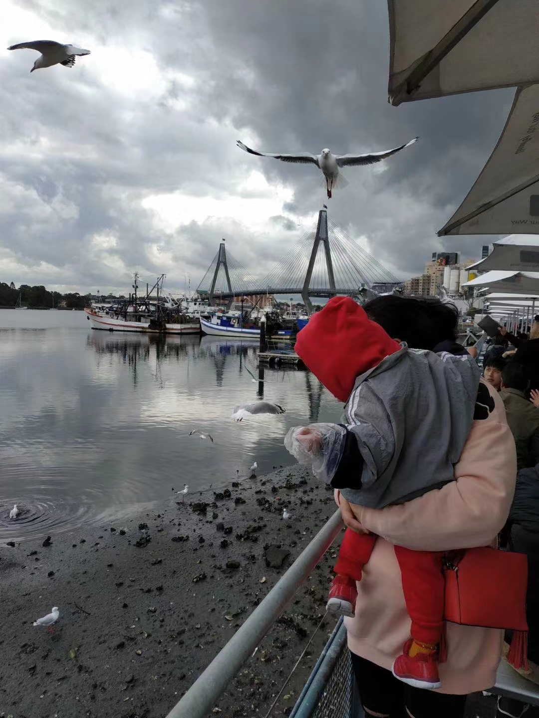 关于我用700块人民币搞定一家三口澳洲往返机票这件事