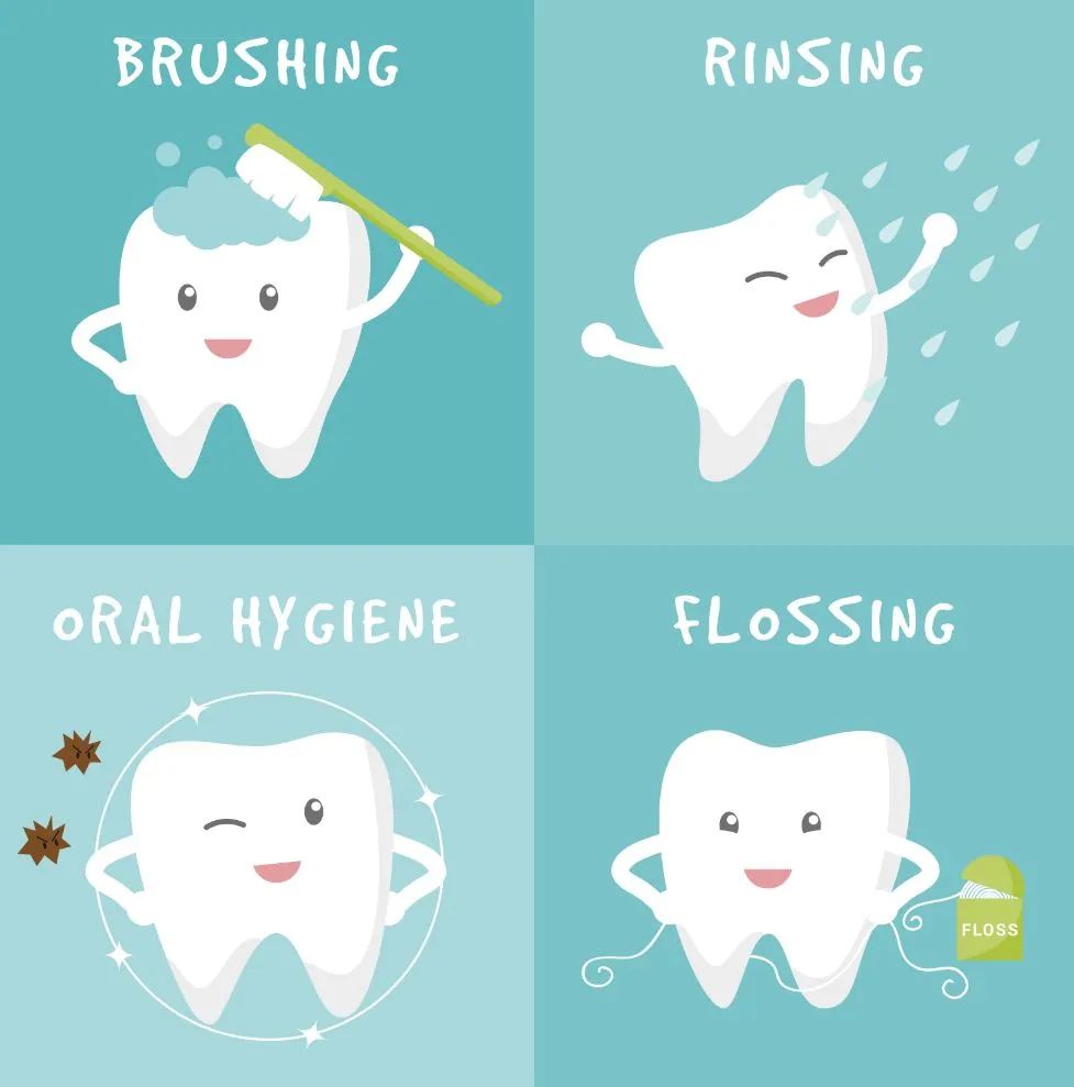 电动牙刷可以用多久,电动牙刷是智商税吗