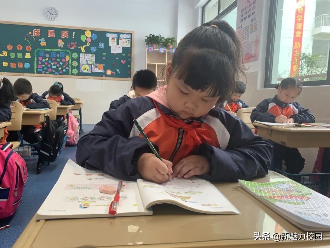 软件谷第二小学怎么样,软件谷二小多少个班