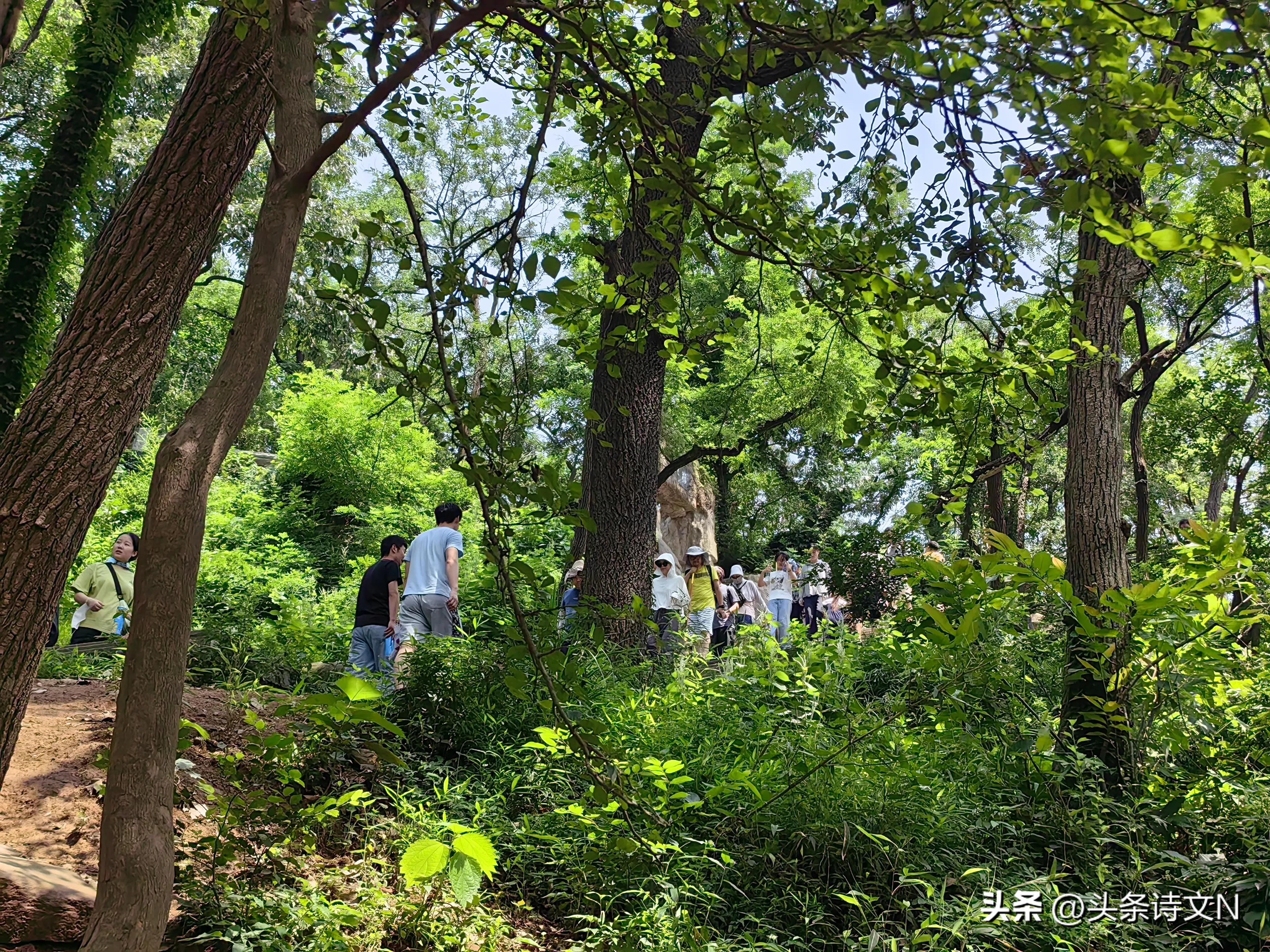 花果山景区值得去吗,盘点网友吐槽坑爹5a景区