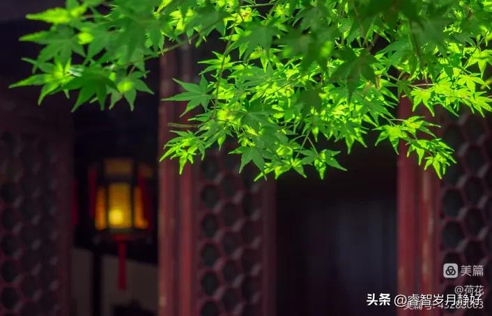 那些年那些事362,那些年那些事32集全