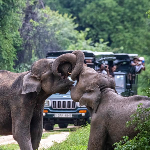 五一3-5天短途旅游推荐报团,五一3-5天短途旅游推荐一个人
