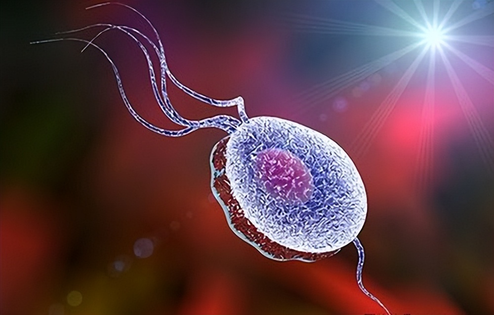 几元钱的甲硝唑能摆平五种病,几块钱一瓶的甲硝唑有什么作用