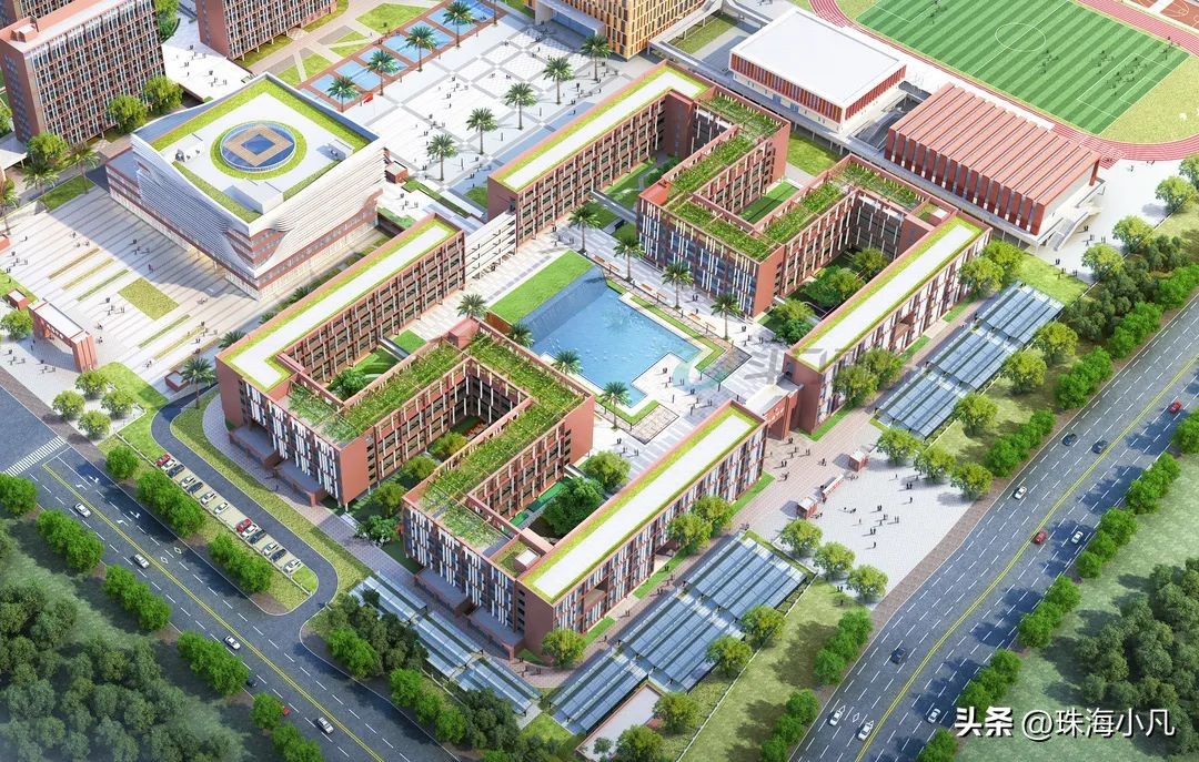 珠海大行动最新消息,珠海最新大事