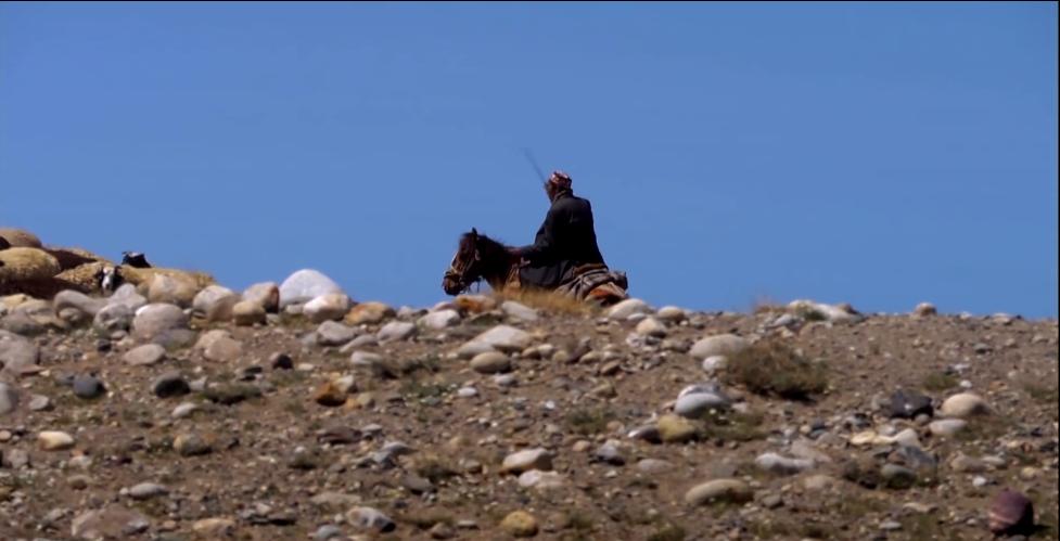 吉尔吉斯人：用100头羊换老婆，没羊男人只能孤独终老