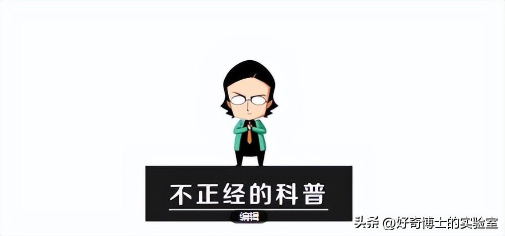 女生的胸，为什么忽软忽硬？（男生禁入）