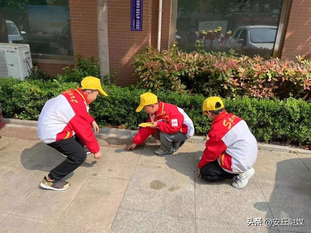 五一劳动节劳动最光荣小学一年级,小学五一劳动节社区劳动实践