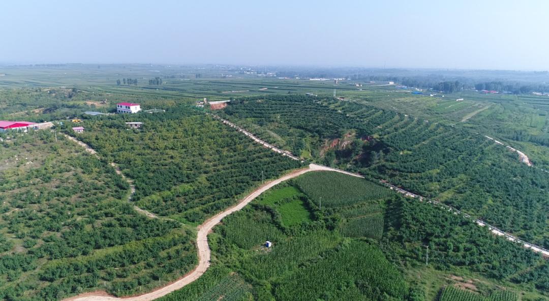 休闲农业与乡村旅游项目分析,休闲农业与乡村旅游什么时候开始