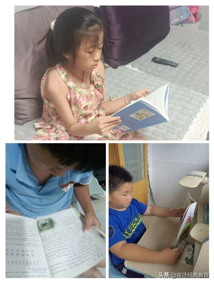 城西小学暑假活动,周开泉小学暑假活动记录