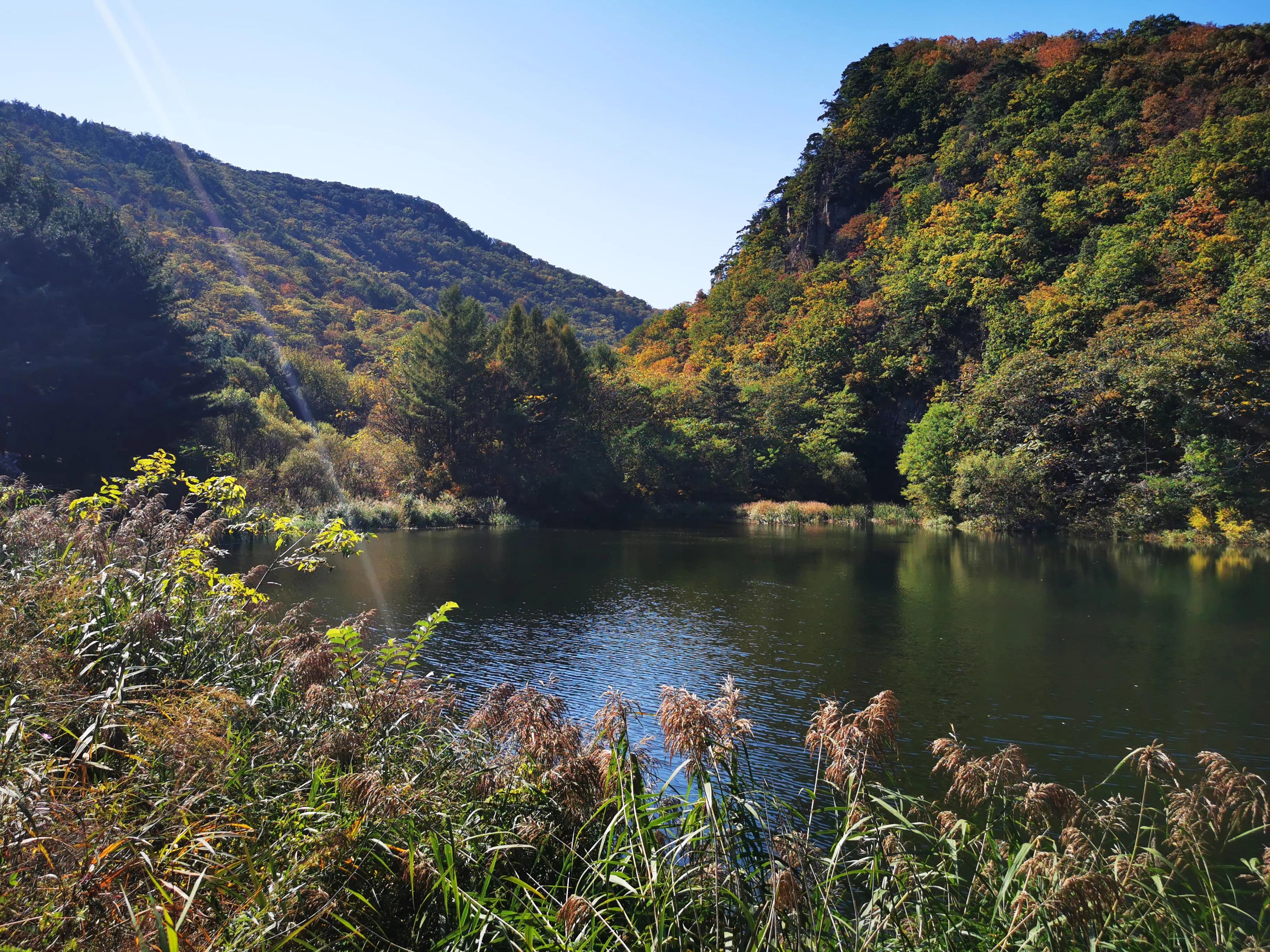 抚顺猴石国家森林公园有啥玩的,4月份抚顺猴石国家森林公园