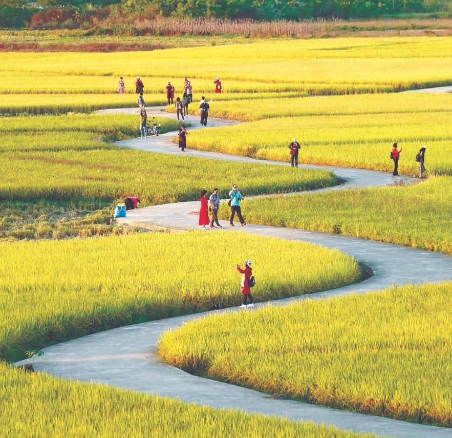韶关秋天哪里有美景,韶关秋天美景