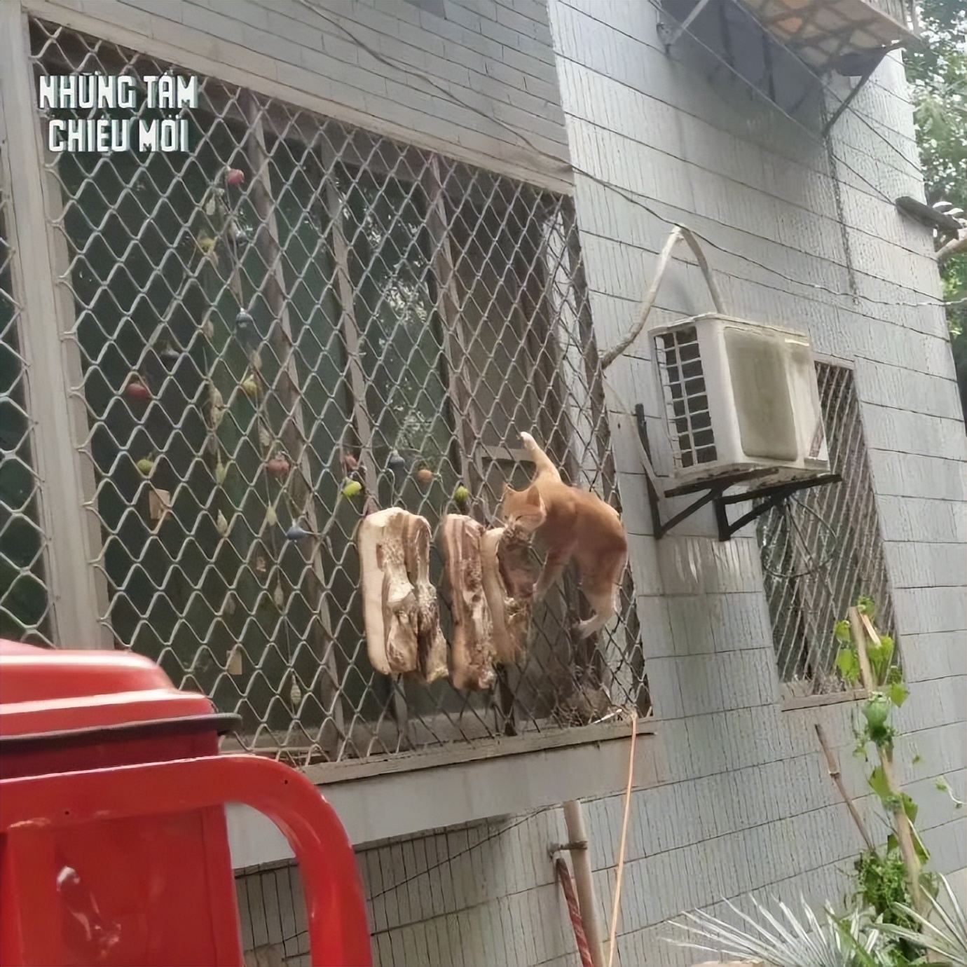 网课承受了太多社死|冷段子2365去年今日2008