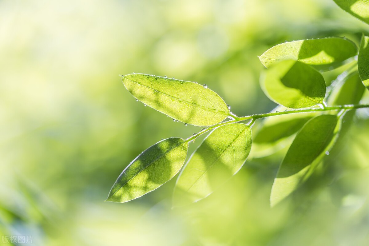 和春天干杯文案,和春天约会短句子