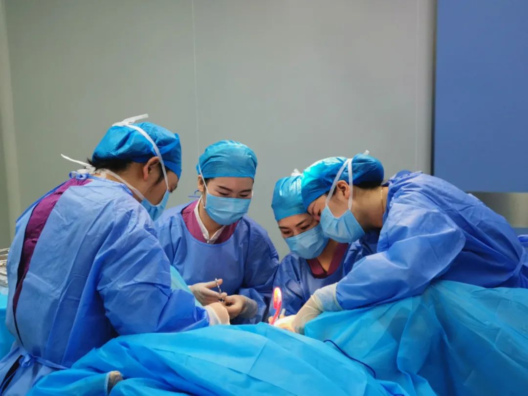 8.19中国医师节|徐红芹：热爱可抵岁月漫长