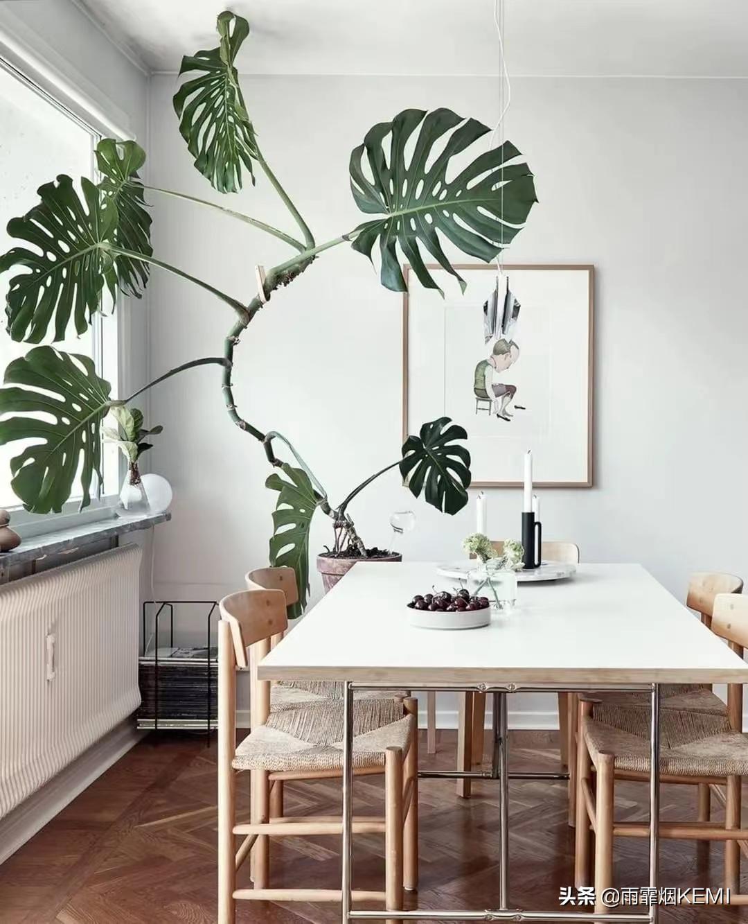 新房装修好后甲醛怎样去除,怎么让家具里的甲醛快速释放出来