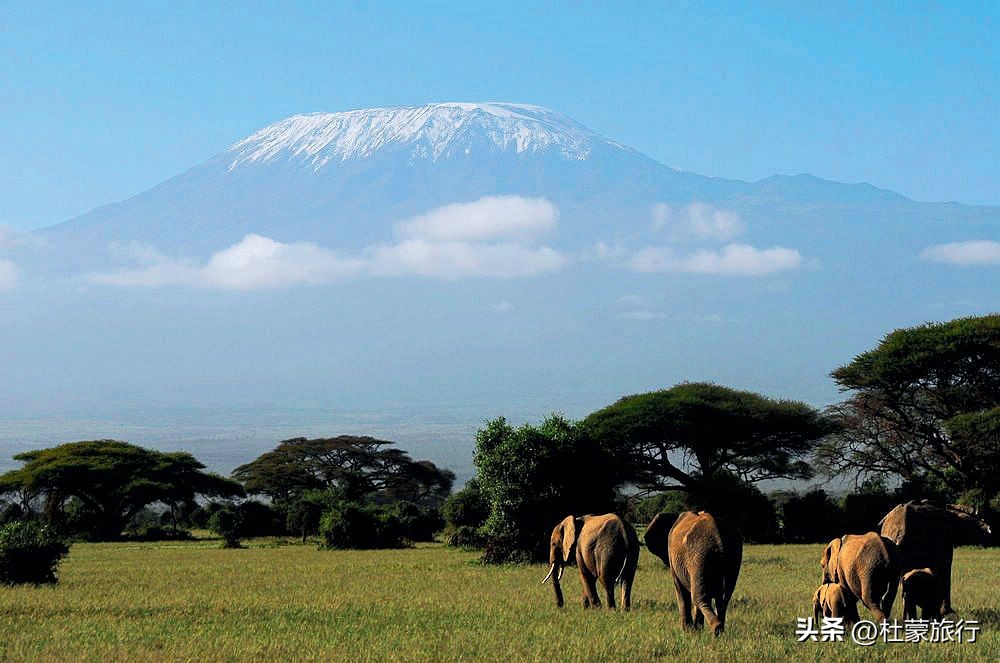 跟随“中国狮子王”，到坦桑看绝色非洲