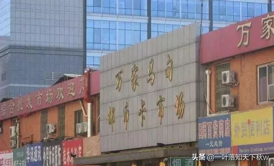 古玩市场逛逛视频 (逛逛辽宁兴城古玩市场)