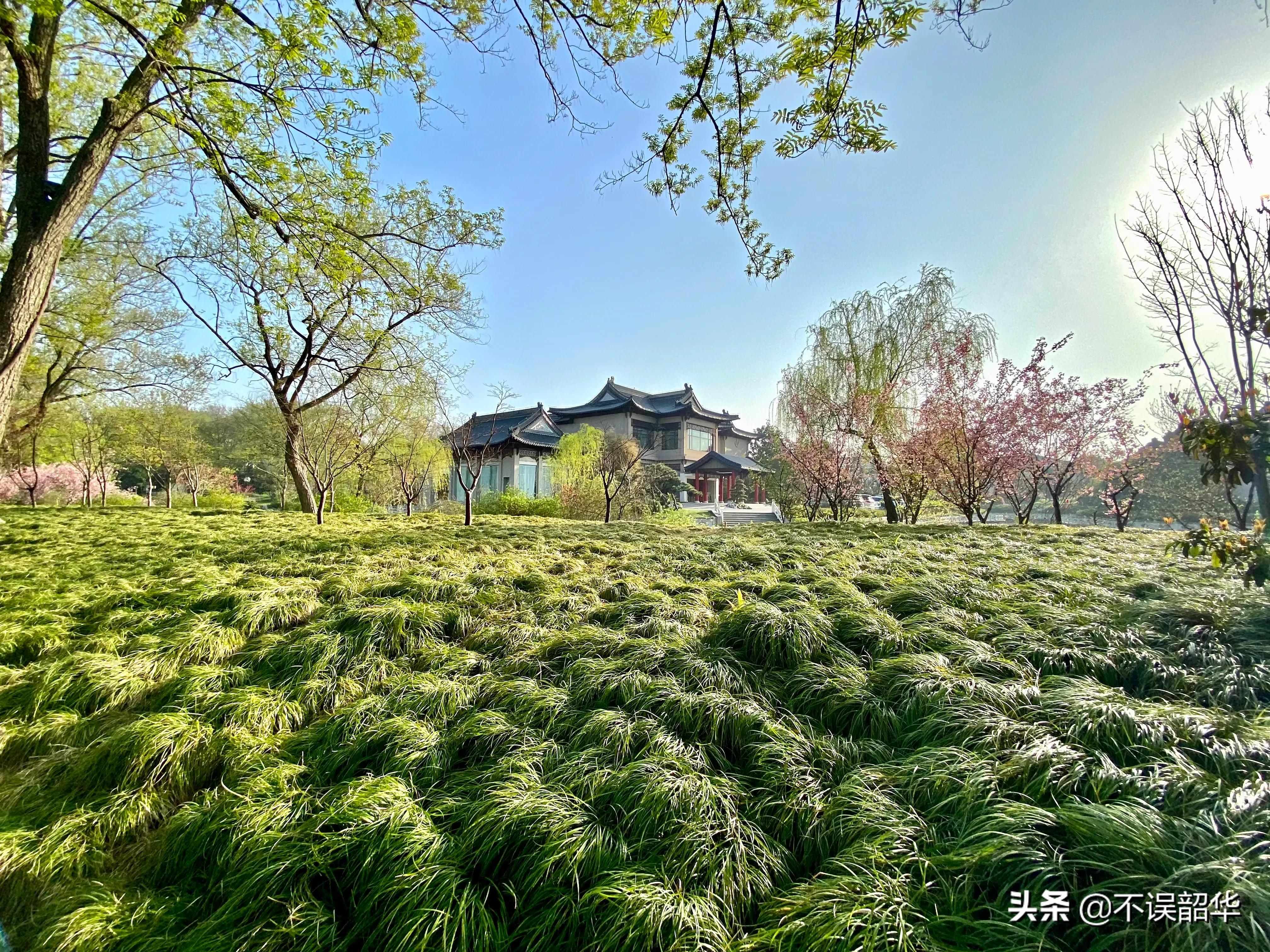 说着话说不上去了怎么回事,说着一些不着边际的话