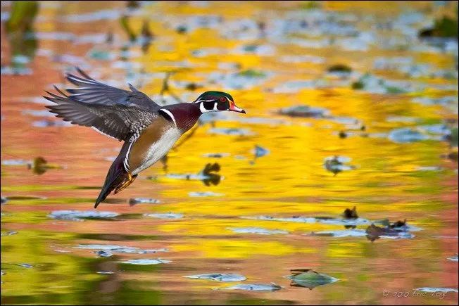 100幅经典摄影作品欣赏,100幅精品摄影图
