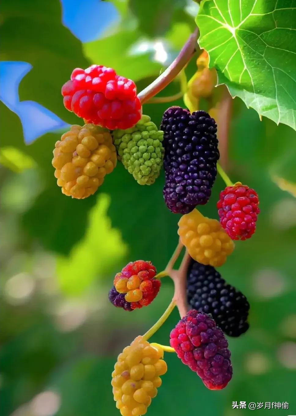 <html>
<head><title>502BadGateway</title></head>
<body>
<center><h1>502BadGateway</h1></center>
<hr><center>nginx</center>
</body>
</html>
<!--apaddingtodisableMSIEandChromefriendlyerrorpage-->
<!--apaddingtodisableMSIEandChromefriendlyerrorpage-->
<!--apaddingtodisableMSIEandChromefriendlyerrorpage-->
<!--apaddingtodisableMSIEandChromefriendlyerrorpage-->
<!--apaddingtodisableMSIEandChromefriendlyerrorpage-->
<!--apaddingtodisableMSIEandChromefriendlyerrorpage-->
